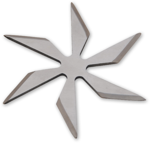 6 Blade Weighted star -Silver FB0014-SL