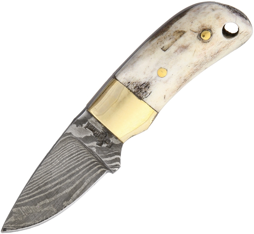 Fox-N-Hound FH94 Damascus Little Buddy Knife