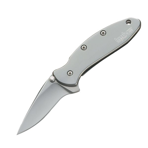 Kershaw 1600 Chive Assisted, Bead Blast Knife