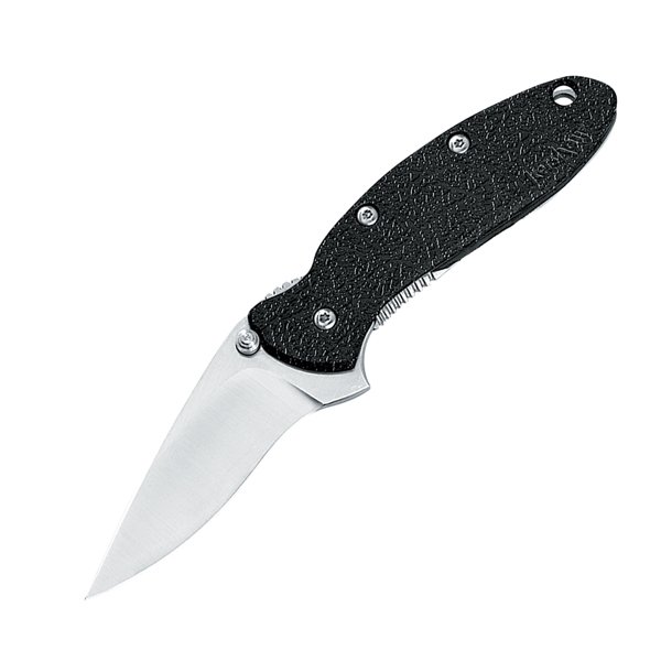 Kershaw 1620 Scallion Assisted Knife