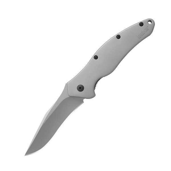 Kershaw 1840 Shallot Assisted, Bead Blast Knife