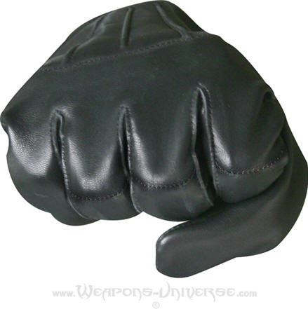 SAP Gloves